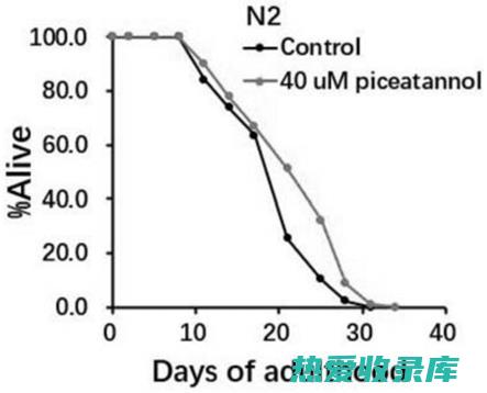 抗衰老：红芪中的阿斯特拉苷和黄芪皂苷具有抗氧化作用，可以清除自由基，延缓衰老进程。(红芪有抗癌作用吗)