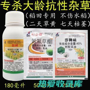 抗氧化剂：稗子含有抗氧化剂，有助于保护身体免受自由基的损害。(抗氧化剂视频)