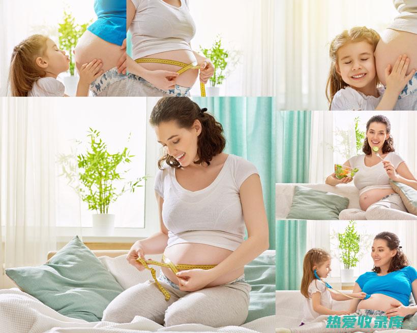 孕妇和哺乳期妇女应谨慎食用紫苏子。 (孕妇和哺乳期妇女不能接种狂犬疫苗)