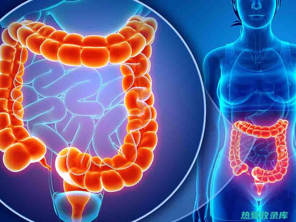 胃肠道疾病，如腹泻和消化不良(胃肠道疾病有什么症状)