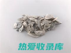 中药牡蛎壳：神奇的功效和用途 (中药牡蛎壳粉的功效与作用)