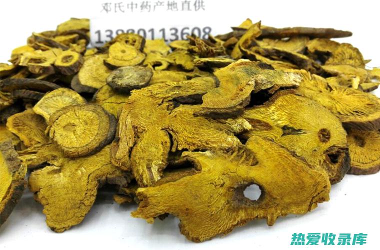 虎枝功效：探索用途广泛的天然补品 (中药虎枝的功效与主治)