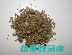 紫珠叶的功效 (紫珠叶的功效和作用)