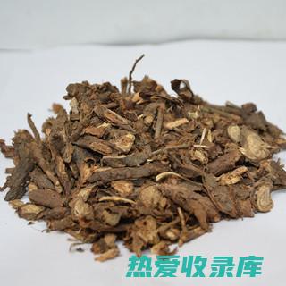 墓头回的功效与作用及禁忌