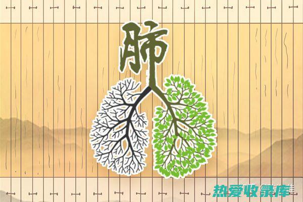 【中医解读】川贝和浙贝：解析传统药材的珍贵功效与多样作用 (腹部寒凉是什么原因中医解读)