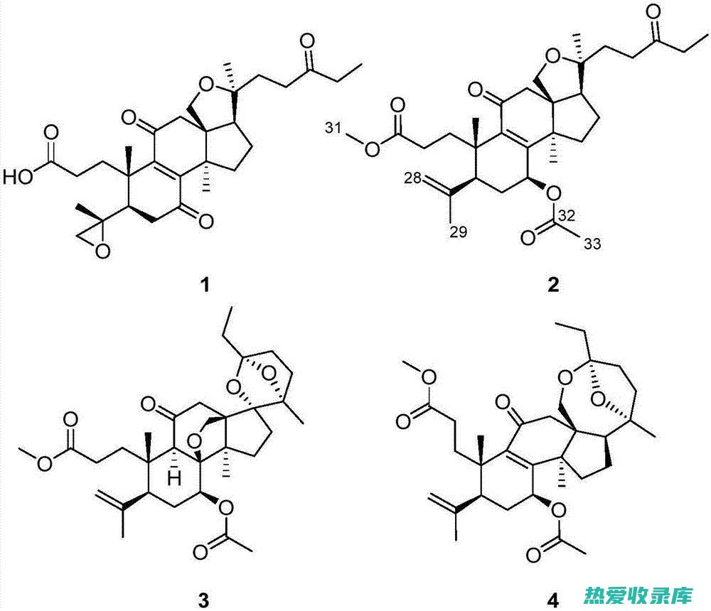 菝葜的药理作用