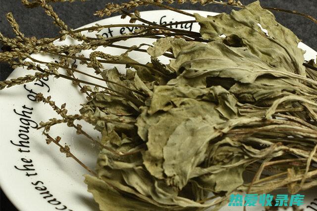 「药用植物」探秘脱骨草：深入解读其神奇功效与多样化应用场景 (药用植物的作用)