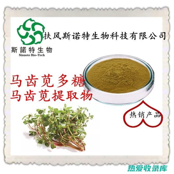 苦苋：药食两用草本植物，揭秘其医疗价值 (苦苋菜图片)