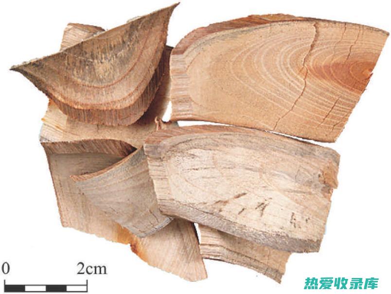 【云南穿破石】— 神奇药用植物全面解析 : 功效、作用与实际应用指南 (云南穿破石图片)