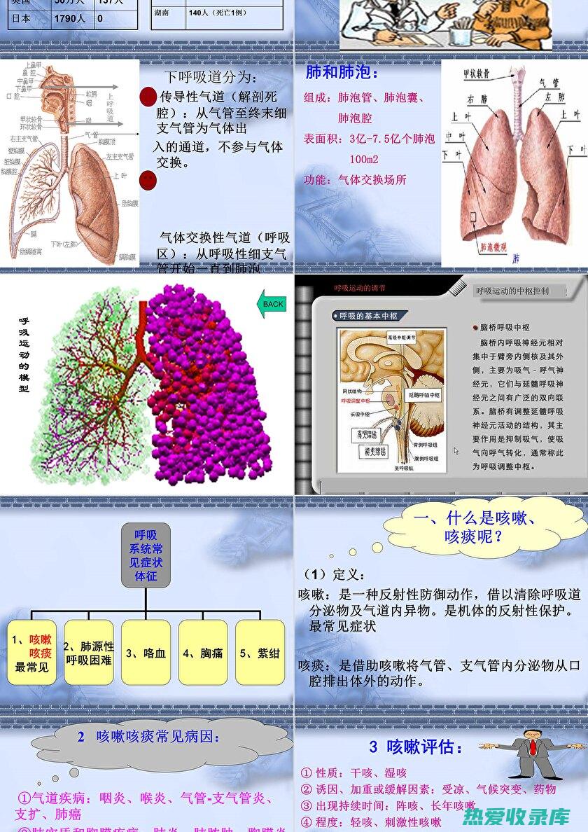 呼吸系统辅助治疗