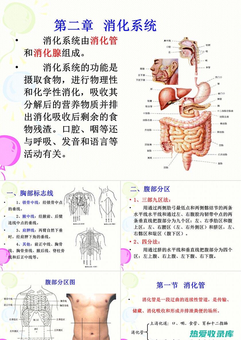 促进消化改善肠胃的药