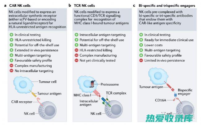 抗肿瘤成功