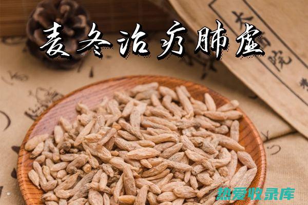 驾驭麦冬的疗愈力量：了解功效、作用、使用指南及避免误区 (驾驭麦冬的疗法有哪些)