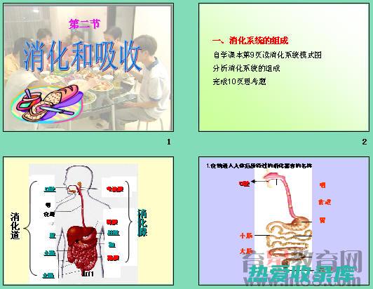 缓解胀气疼痛的药