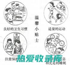 ②身体的守护者：增强免疫力 (身体的守护者白细胞)