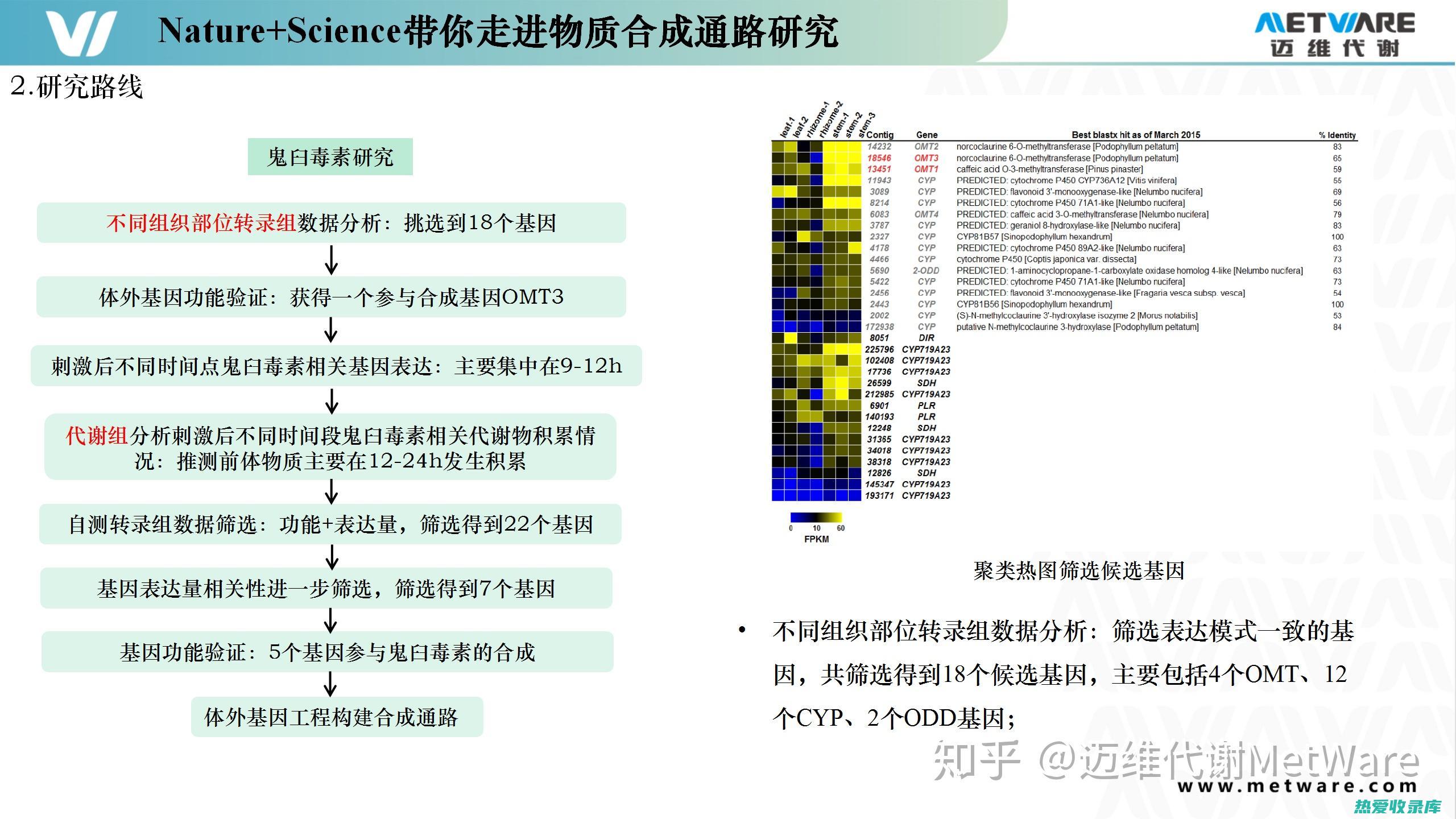 全面解析中药