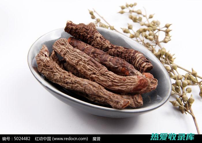 中药血洁的使用功效与医疗价值研究 (中药血洁的使用方法和用量)