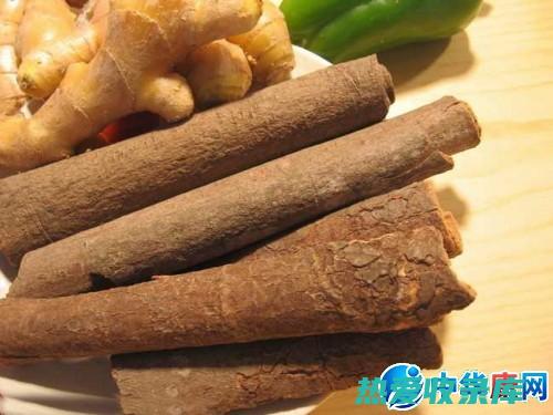 肉桂在中药中最多能用多少克