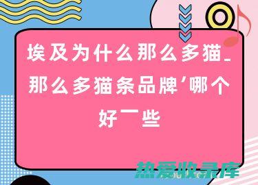 为什么那么多中医高手推崇中药肉桂？一文揭开其功效之谜 (为什么那么多屁放)