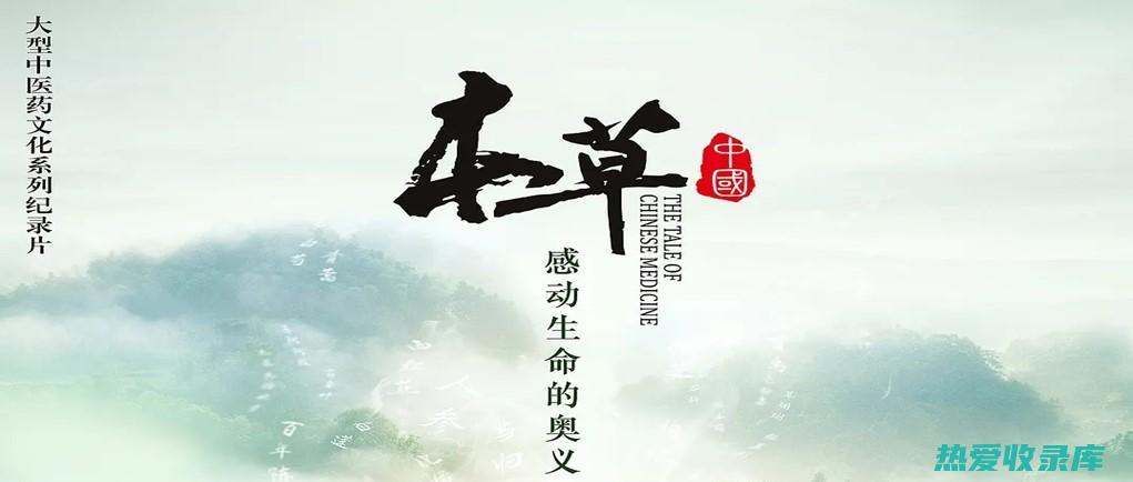 神奇的草本世界: 探寻制附子的惊人功效、独特作用以及传统与创新的食用方式 (神奇的草本世界小说)