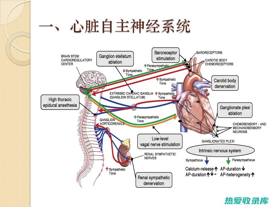 缓解压力和焦虑