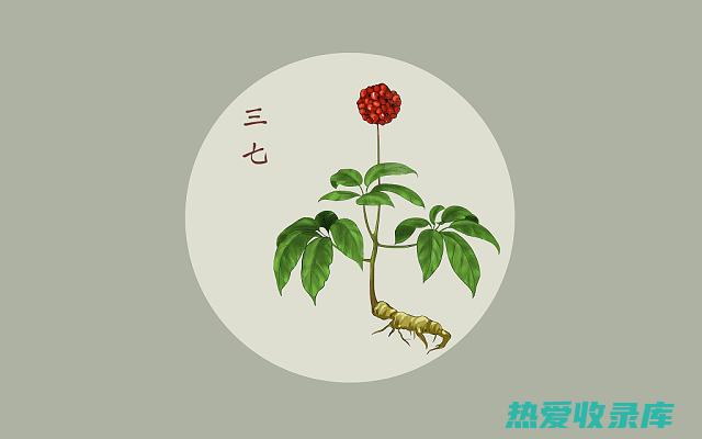 【中医本草】菖蒲：详解传统药用植物菖蒲的神奇功效与科学用量指南 (中医本草疗法)