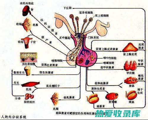 助力身体平衡