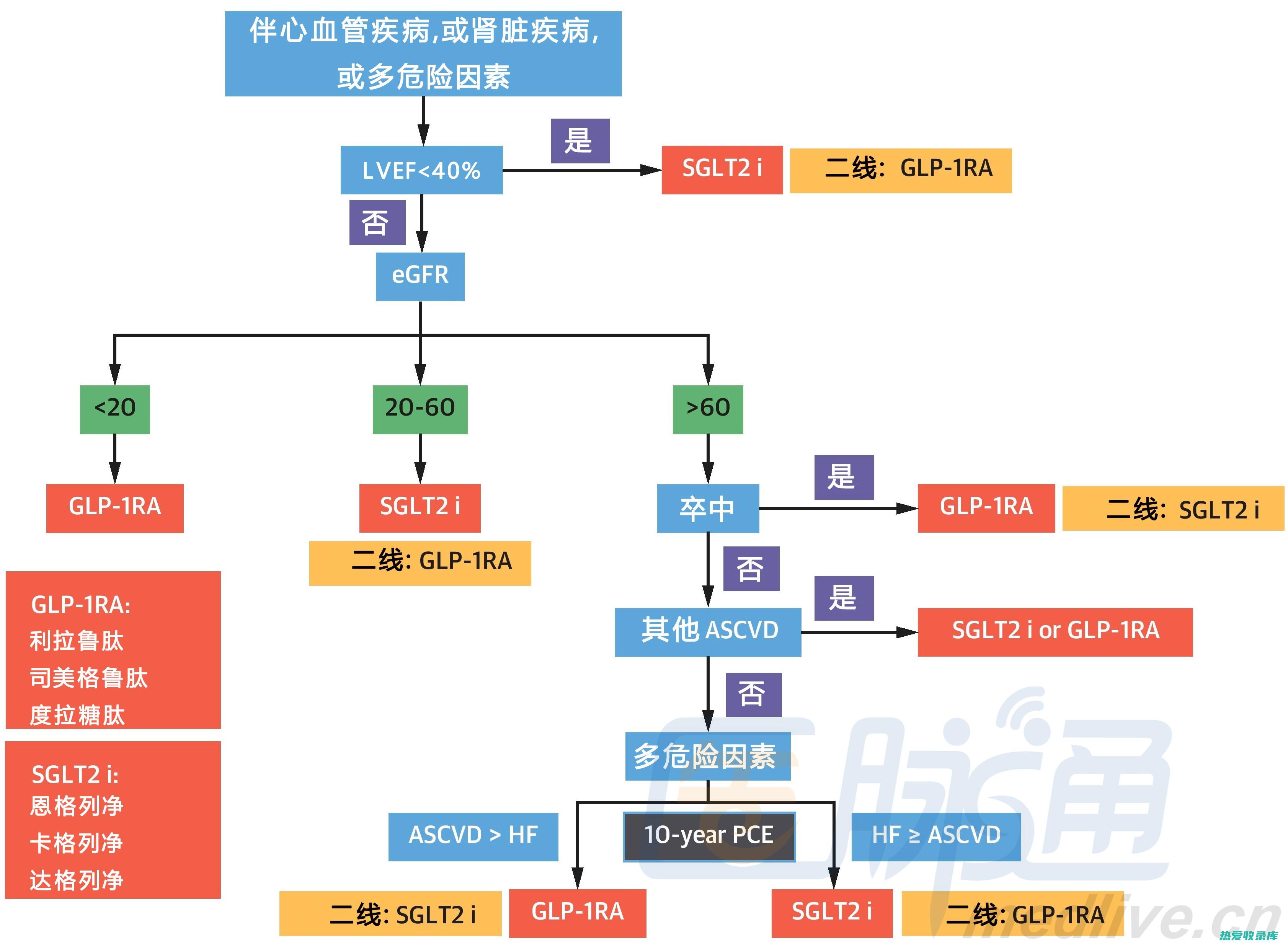 治疗糖尿病：葛根的现代发现及稳定血糖能力 (治疗糖尿病最新突破)