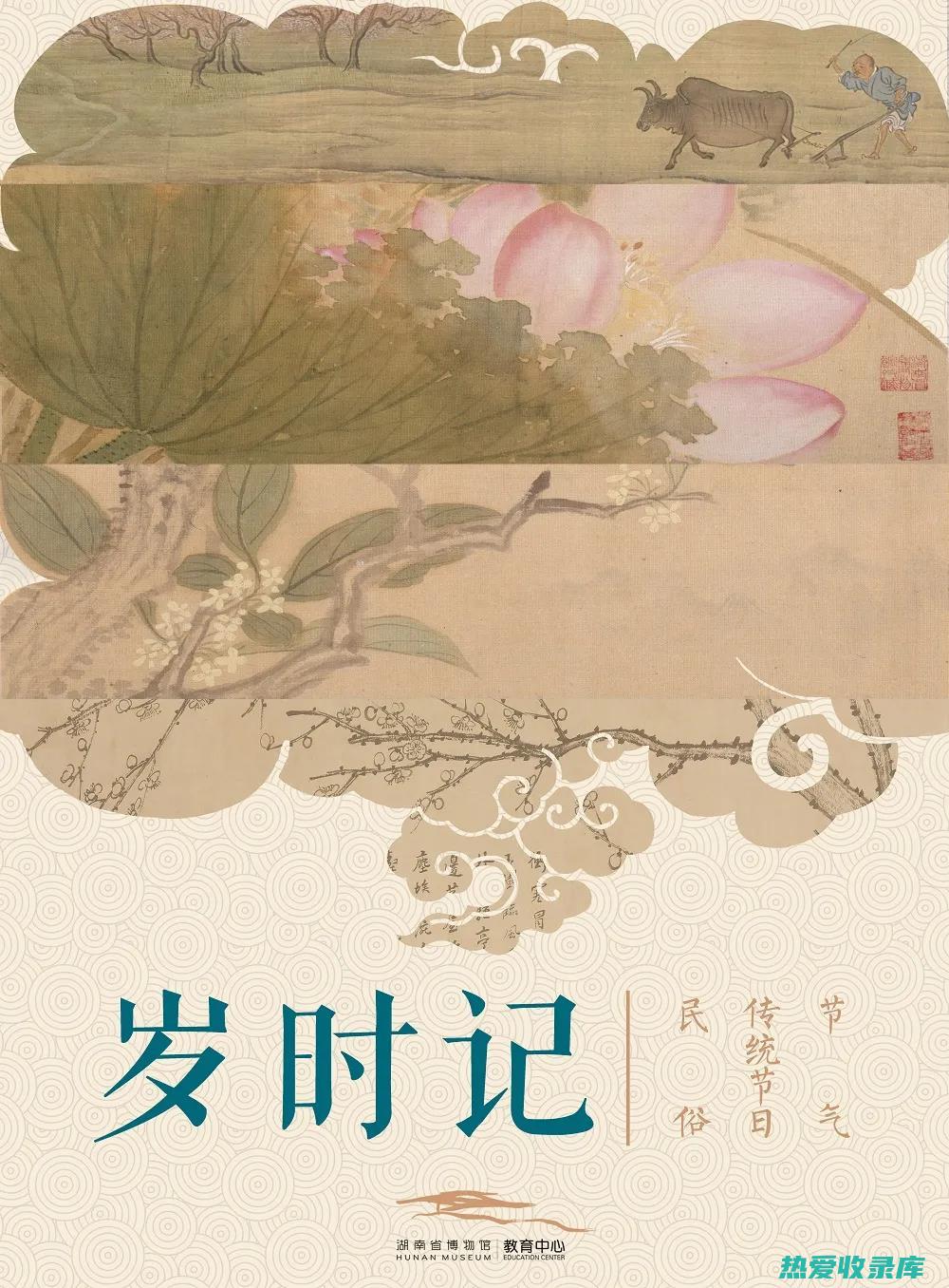 发掘半夏的作用：提高消化能力，清热解毒 (发掘半夏的作者是谁)