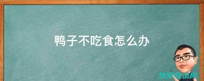 科学食鸭，健康同行：解锁鸭肉在现代餐桌上的营养秘密与健康益处