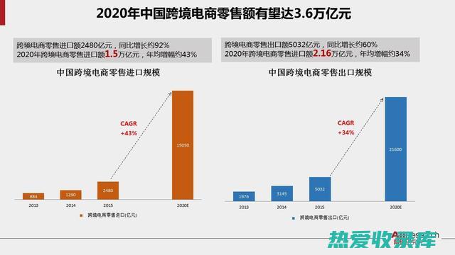 选购、鉴别与储存黄贡菊的小常识 (选择与鉴别)