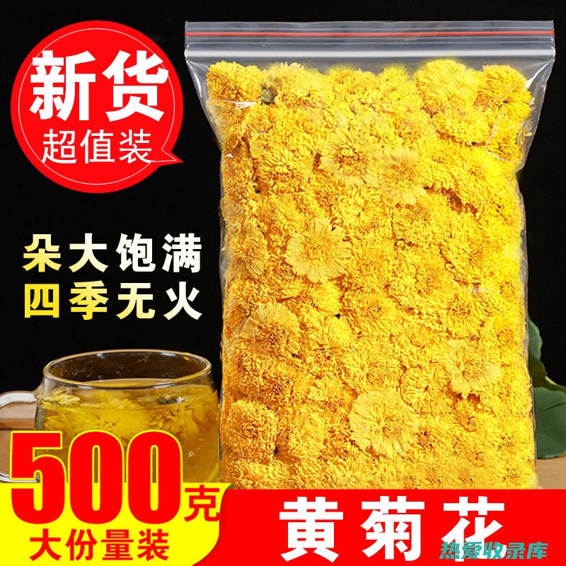 黄贡菊花茶的制作方法与饮用禁忌 (黄贡菊花茶的功效与作用禁忌)