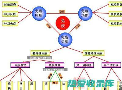 提高免疫- 增强机体免疫系统，对抗各种疾病，保证身体健康。 (提高免疫增强抗寒力)