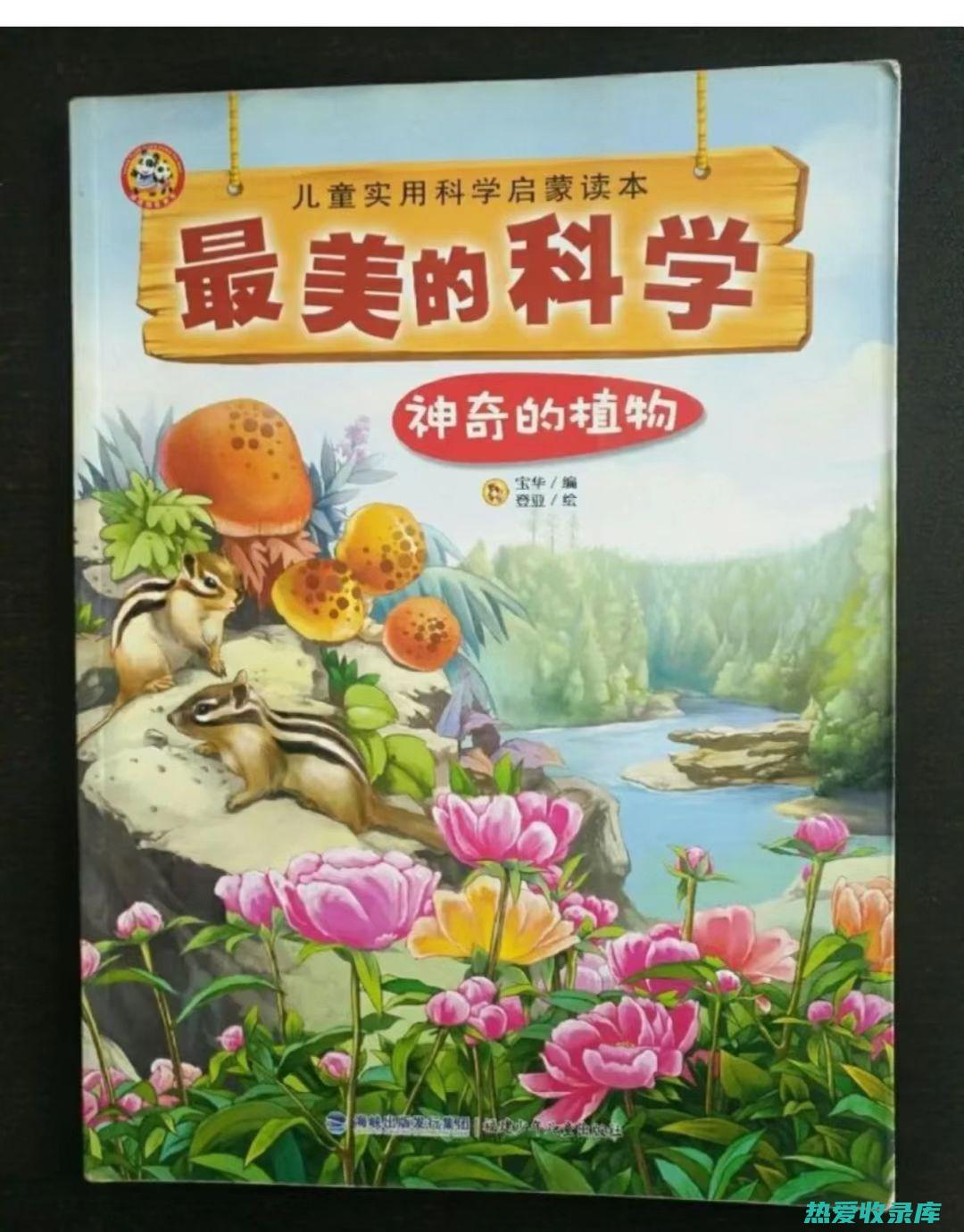 神奇植物：九龙藤的多重健康益处与日常养生功效 (神奇的九载)