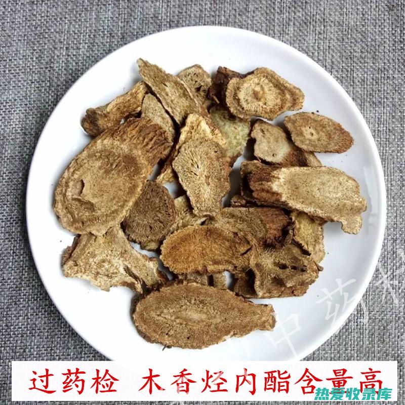 生广木香的与作用及禁忌