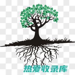 根子功效与作用图片 (根子功效与作用是什么)