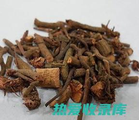 茜根的功效 (茜根的功效与作用和图片)