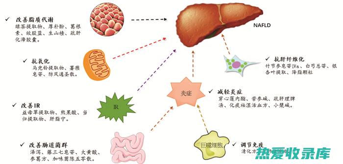 中药名称