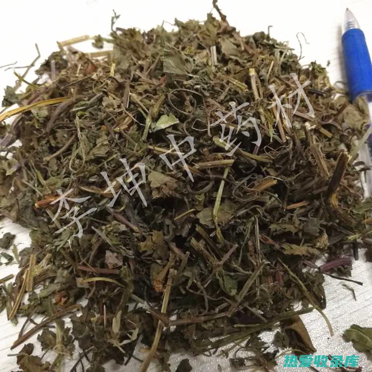 透骨中药：解锁骨骼健康的千年秘密 (中药透骨疗法的作用)