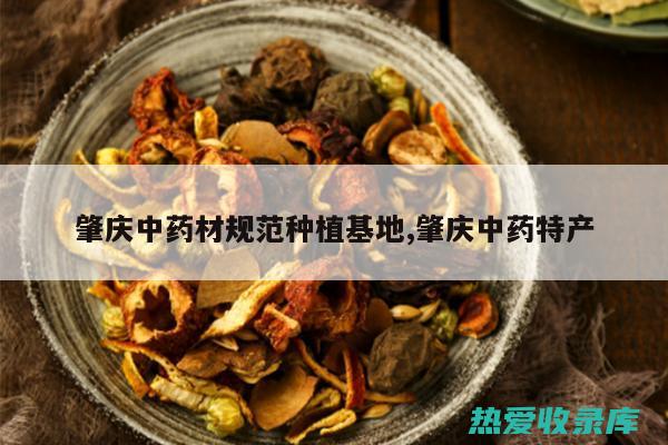 大芸中药：提供优质传统中药 (大芸中药功效与作用图片)