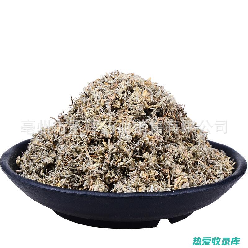 茵陈中药世家的传承与创新 (茵陈中药材中医世家)