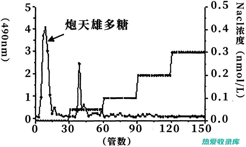 天雄功效与作用 (天雄功效作用与主治)