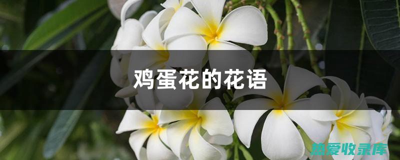 中的神奇