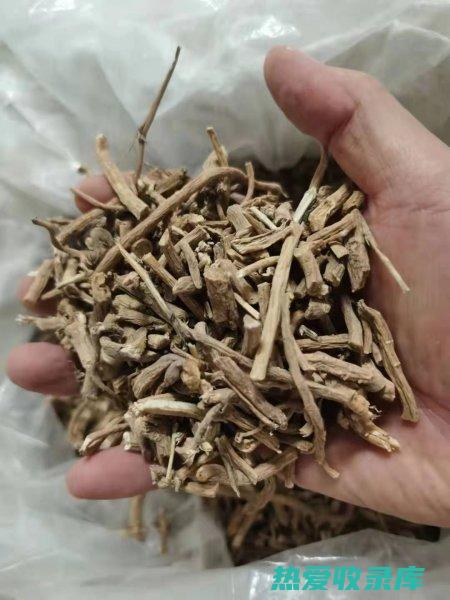 实的功效与作用及食用