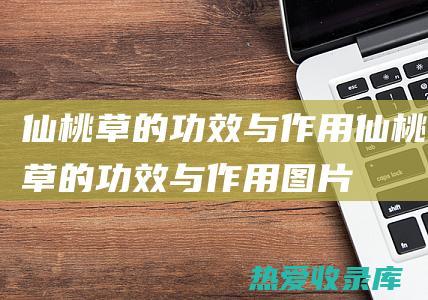 仙桃草的功效与作用 (仙桃草的功效与作用图片)