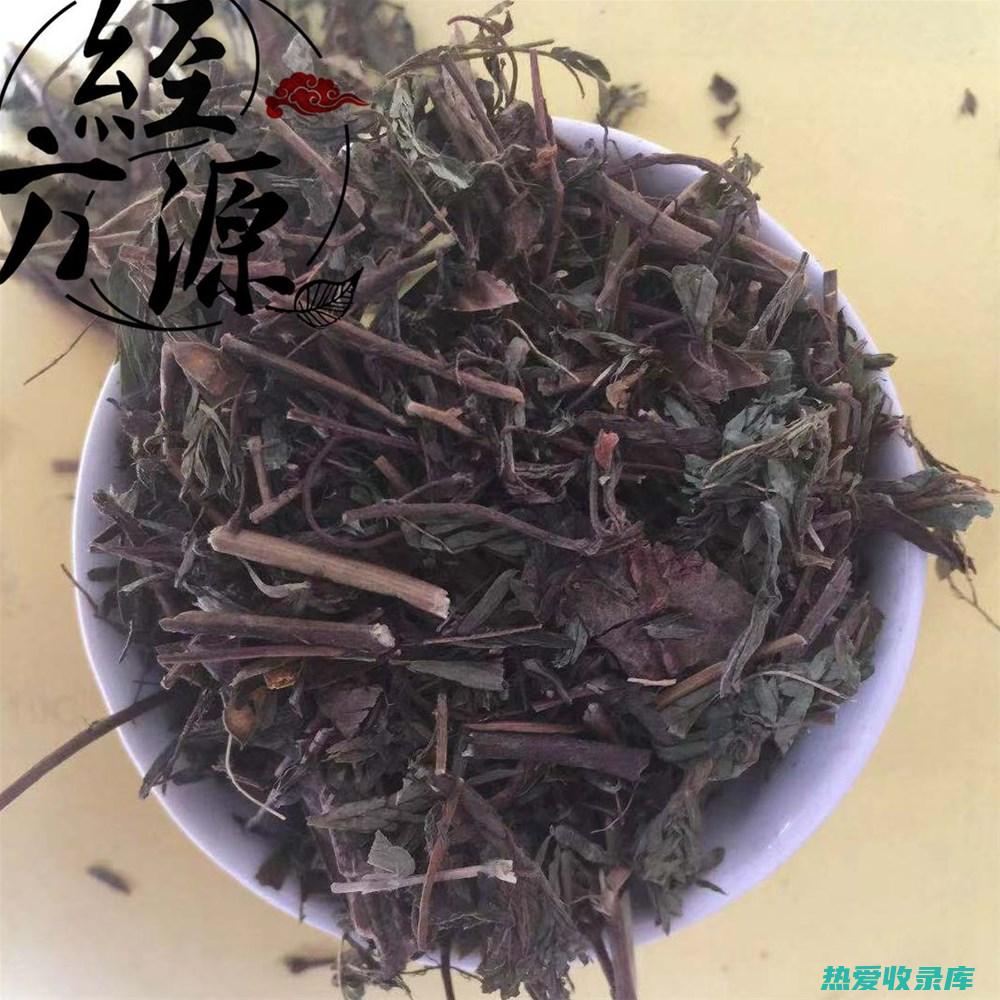 铁甲草 功效 (铁甲草功效和作用)