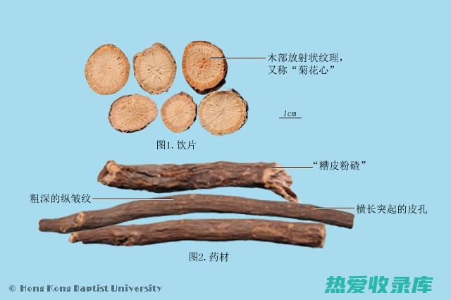 赤芍的的功效与作用