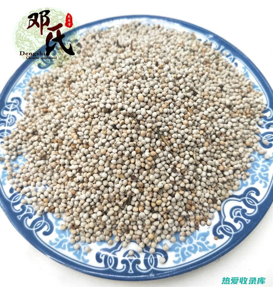 苏麻子：一种具有药用价值的中草药 (苏麻子又名)