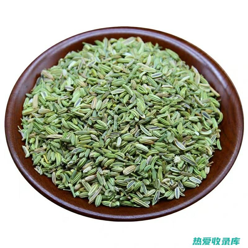 野茴香根功效 (野茴香的作用)