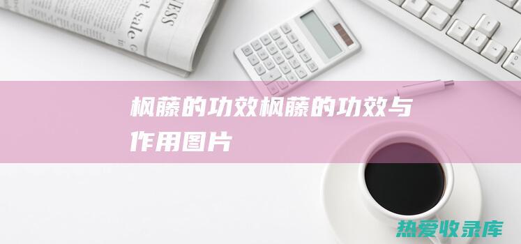 枫藤的功效 (枫藤的功效与作用图片)